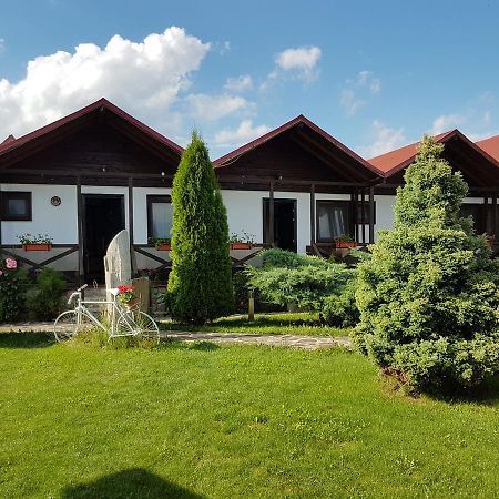 Pensiunea Valea Argesului Albestii Paminteni 外观 照片