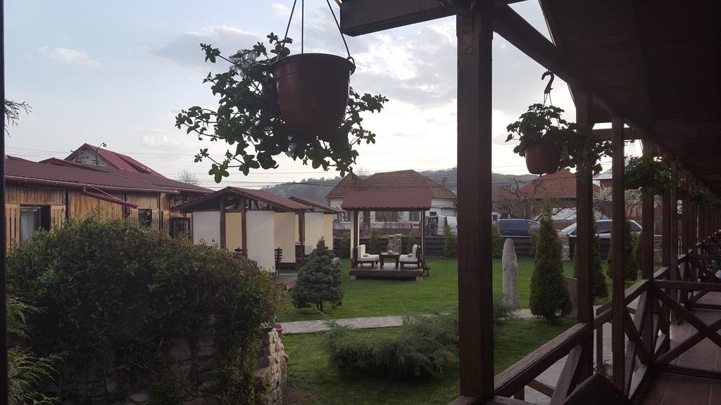Pensiunea Valea Argesului Albestii Paminteni 外观 照片