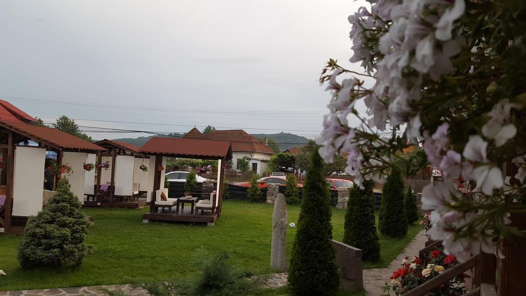 Pensiunea Valea Argesului Albestii Paminteni 外观 照片