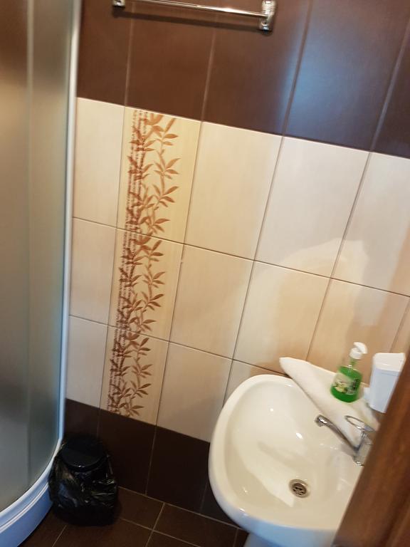 Pensiunea Valea Argesului Albestii Paminteni 外观 照片
