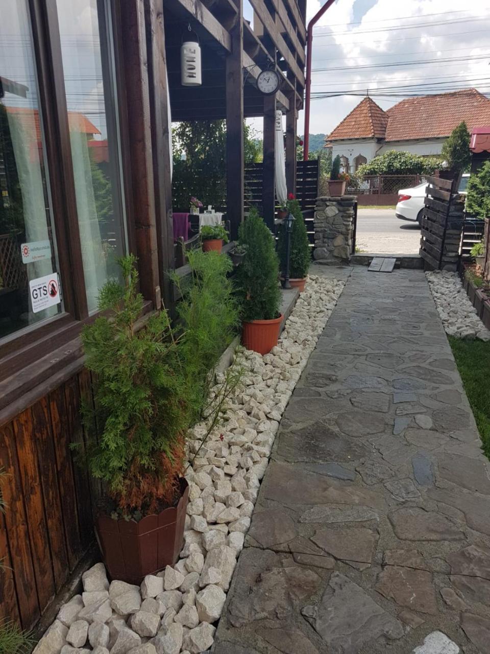 Pensiunea Valea Argesului Albestii Paminteni 外观 照片